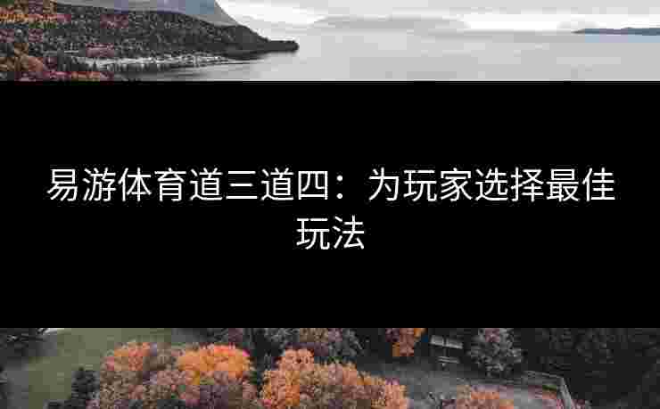 易游体育道三道四：为玩家选择最佳玩法